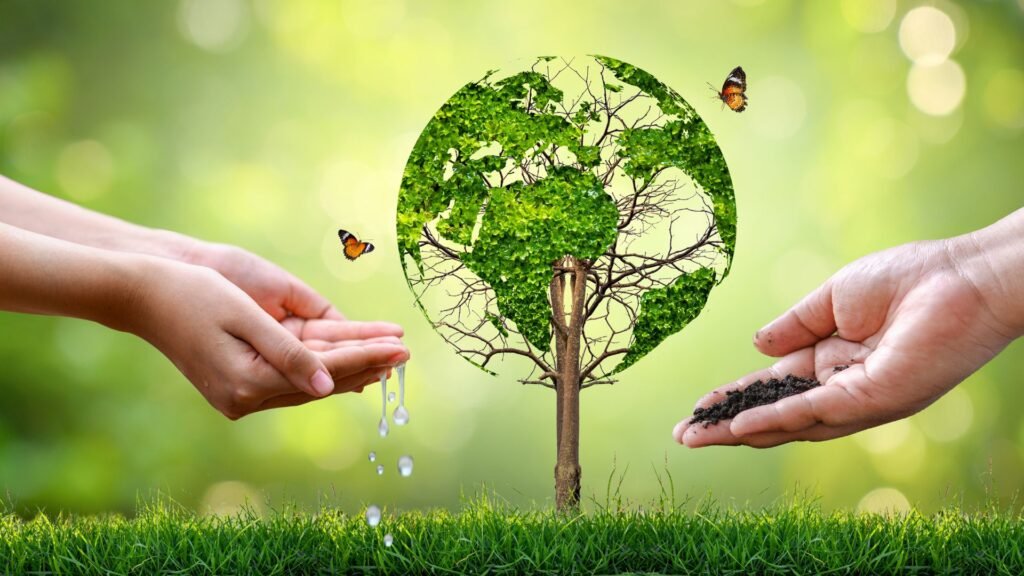 Expert Advice on Preserving the Environment in Your Daily Life